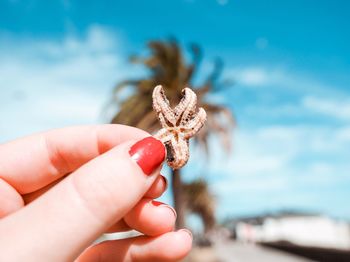 Close-up of hand holding crab by sea against sky