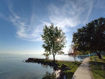 Balaton, tree, cloud and more