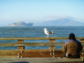 Rear view of man perching on sea against clear sky