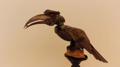 Low angle view of birds in flight