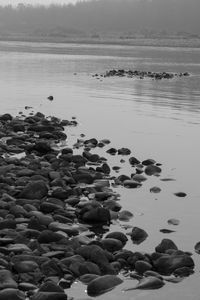 Pebbles on beach
