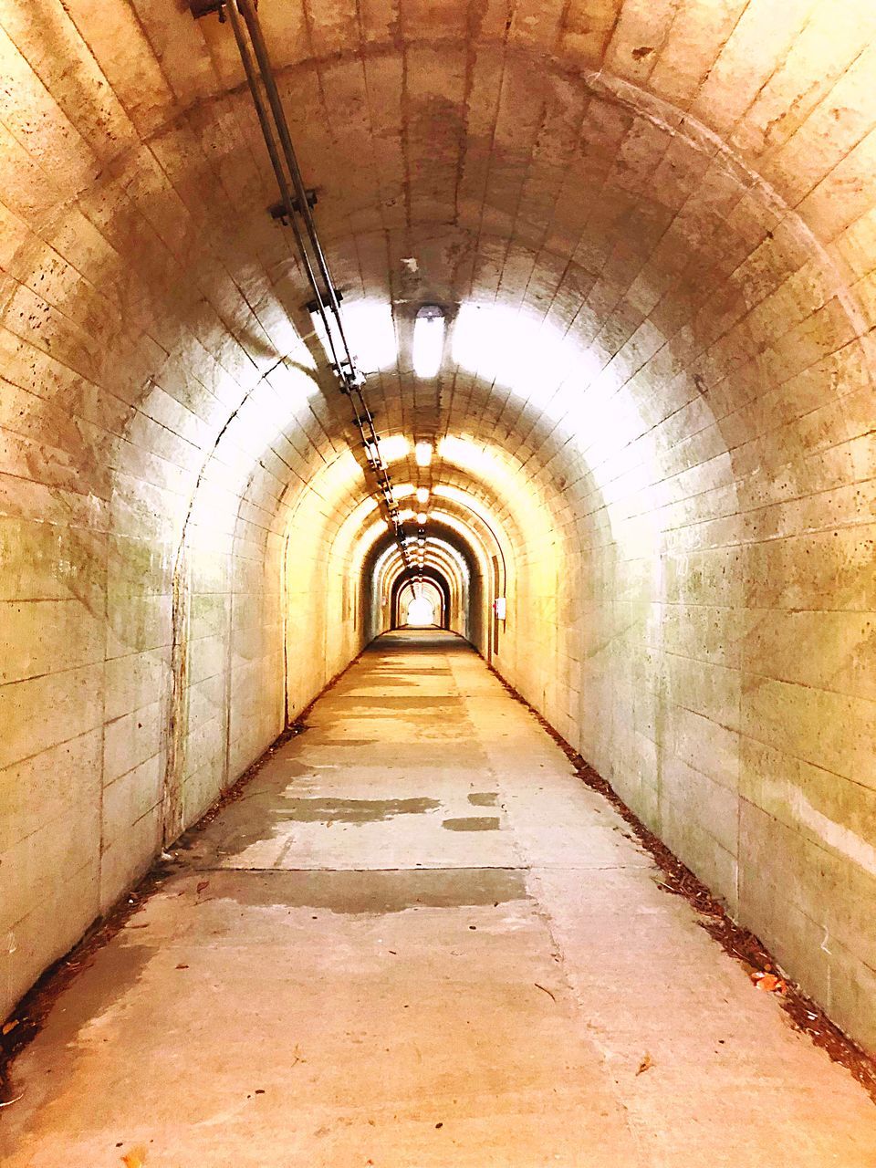 the way forward, direction, illuminated, architecture, arch, indoors, diminishing perspective, built structure, lighting equipment, no people, empty, tunnel, ceiling, vanishing point, wall - building feature, arcade, corridor, building, footpath, light, light at the end of the tunnel, arched, underground walkway, long, underpass