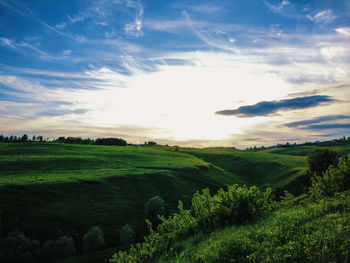 Scenic view of agricultural field against sky