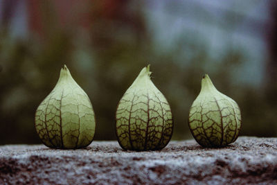 Close-up of fruits on table