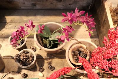 Close-up of pink flowers on table