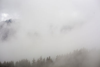 Scenic view of trees against sky during foggy weather