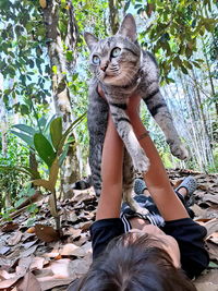 Low section of person with cat on tree against plants