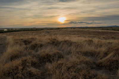 Scenic view of grassy field against sky during sunset