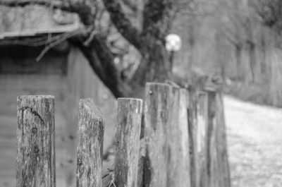 Close-up of wooden post on wooden post