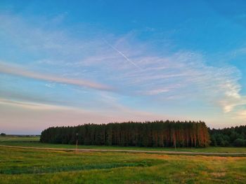 Scenic view of field against sky