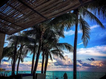 Palm trees on beach