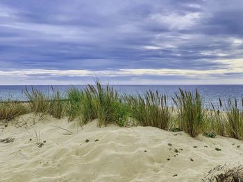 Scenic view of beach against sky