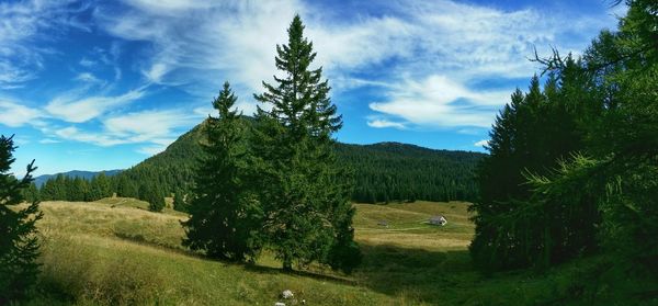 Scenic view of grassy field against cloudy sky