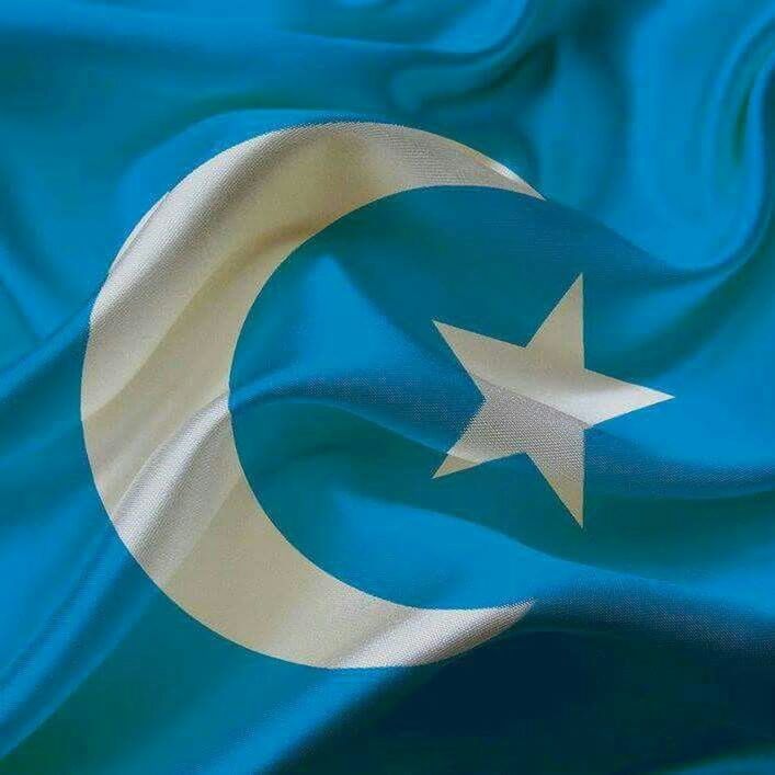 Free Turkistan