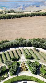 High angle view of agricultural field