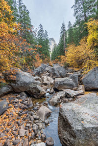 Stream flowing through rocks in forest during autumn