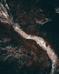 High angle view of rocks in forest