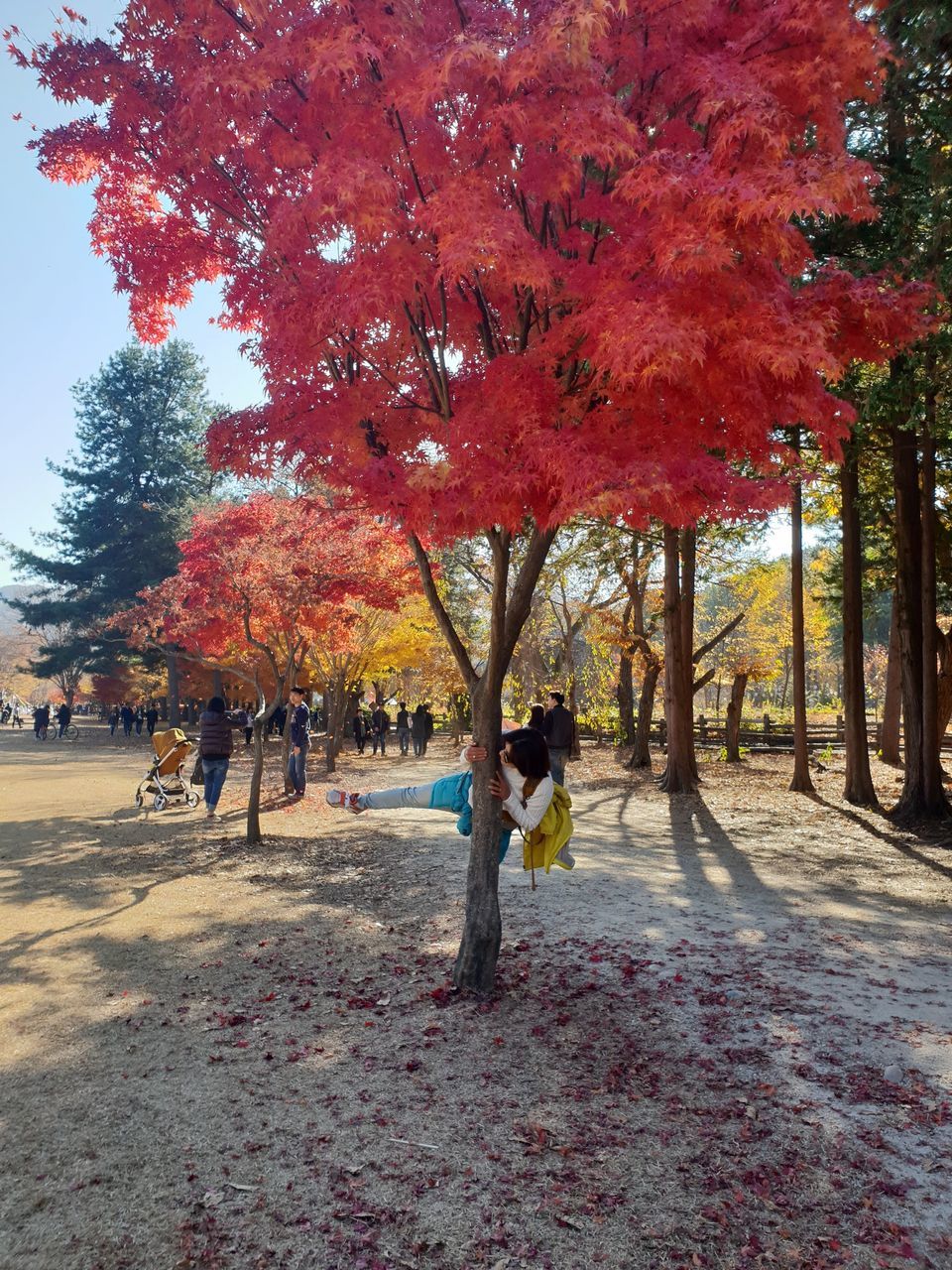 PEOPLE ON PARK DURING AUTUMN