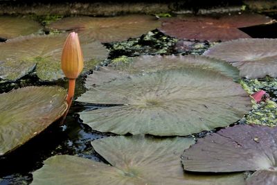 Close up of water