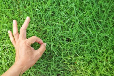 High angle view of human hand on grass