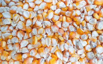 Pile of dried corn kernels for background