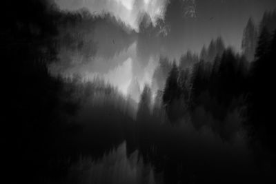 Panoramic shot of silhouette trees in forest against sky