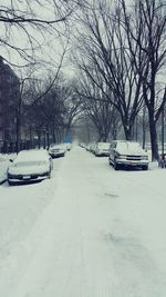 Snow covered road along trees