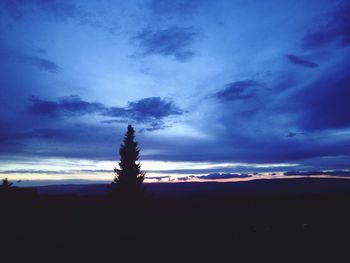 Silhouette of trees at sunset