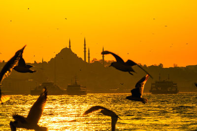 Silhouette of birds flying against sky during sunset