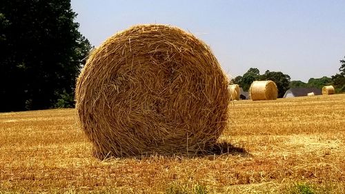 Hay bales on field against sky