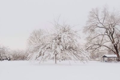 Scenic view of snow covered landscape