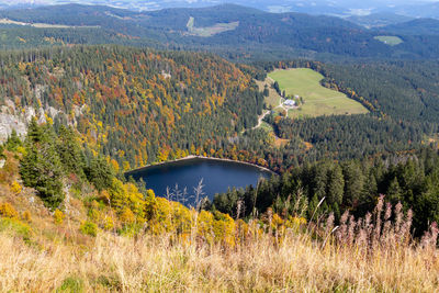Scenic view at landscape and lake feldsee from feldberg, black forest in autumn