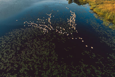 High angle view of sea shore