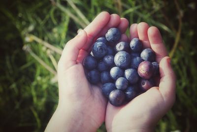 Cropped hands holding blueberries