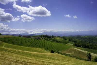 Scenic view of agricultural field against sky