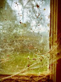 Full frame shot of wet glass window