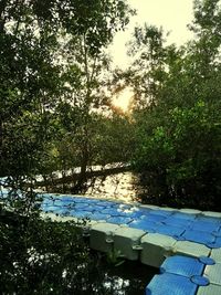 High angle view of swimming pool against trees