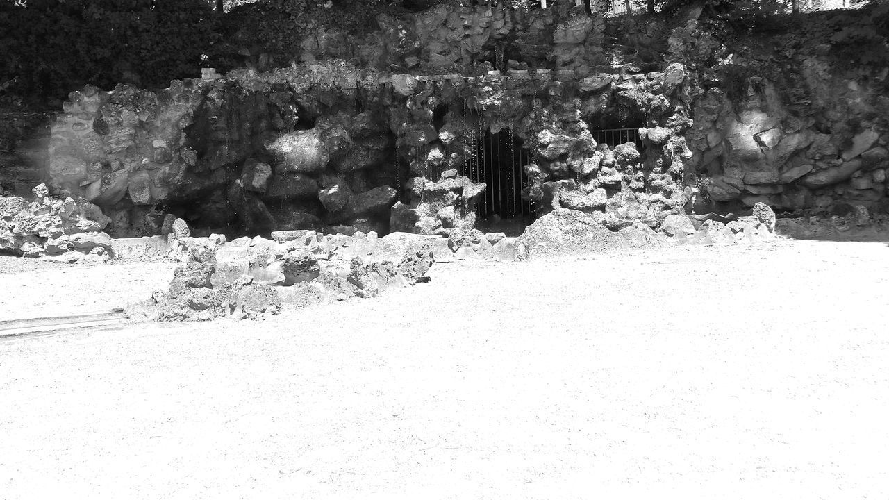 SHADOW OF TREES ON ROCK