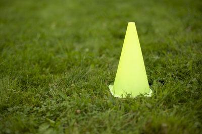 Green cap on green grass. sports equipment to mark border. pyramid figure. cone on lawn. 