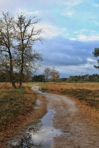 Road amidst trees against sky