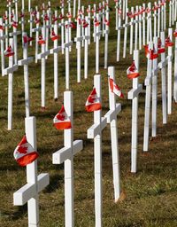 Row of cemetery