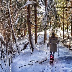 Rear view of female hiker walking snow covered landscape in forest