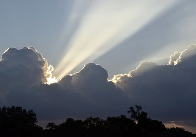 Low angle view of sunlight streaming through silhouette trees against sky