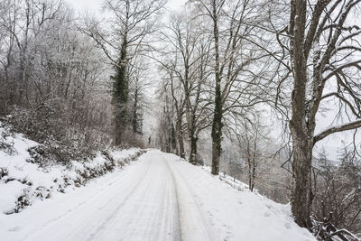 Snow covered road amidst trees during winter
