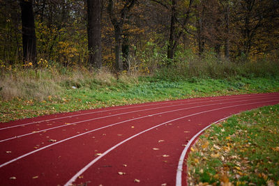 Red runninng race track with lanes at autumn park, treadmill at stadium, sport and fitness concept
