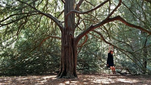 Rear view of woman walking in forest