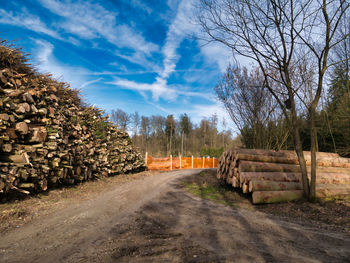 Stack of logs on field by road in forest against sky