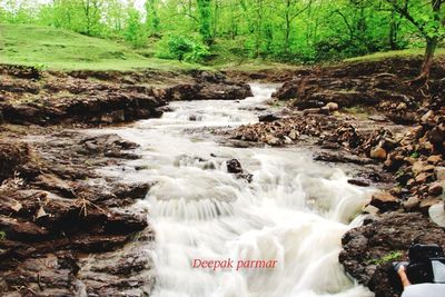 Scenic view of waterfall in forest