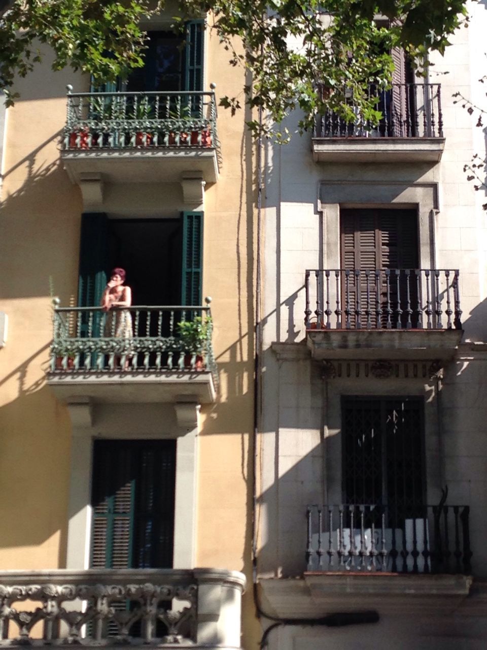 building exterior, architecture, built structure, balcony, house, residential building, window, residential structure, railing, building, potted plant, tree, day, low angle view, city, outdoors, sunlight, no people, clear sky, facade