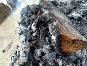 Close-up of fire on log
